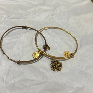 Alex and Ani Gold Tone Compass Bangle Energy Bracelet Pair